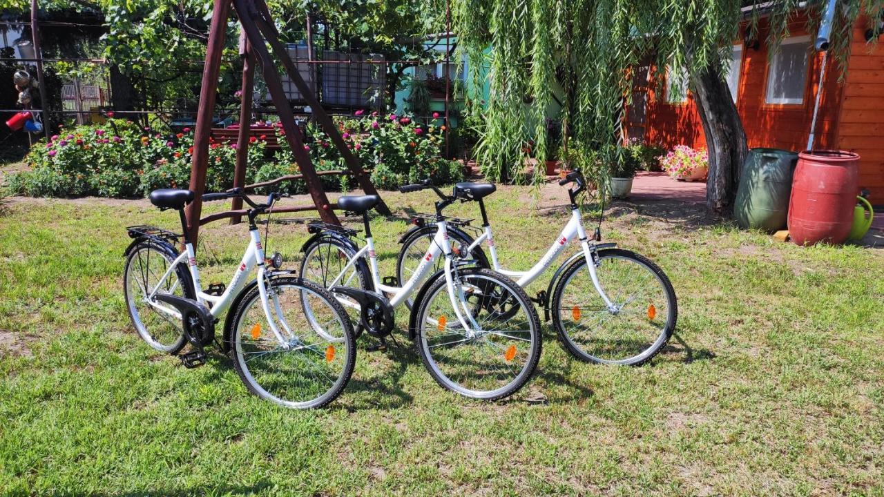 Opusztaszeri Mozes Vendeghaz Hotel Buitenkant foto