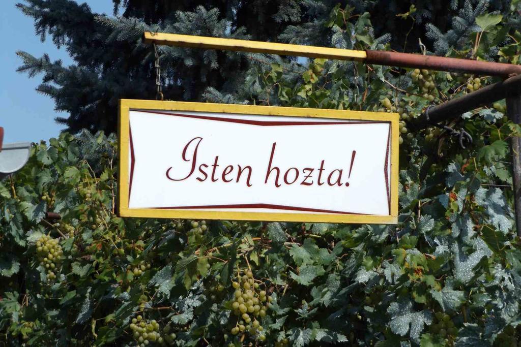 Opusztaszeri Mozes Vendeghaz Hotel Buitenkant foto